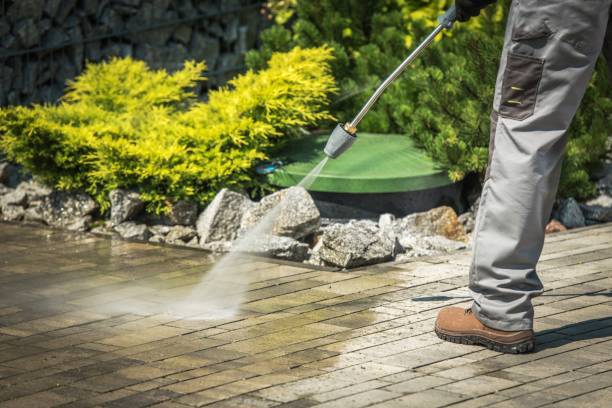 Best Roof Washing  in Calico Rock, AR